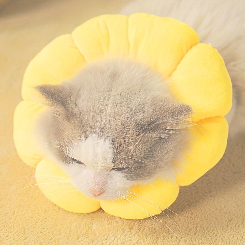 Sunflower Pet Recovery Collar - Furriender